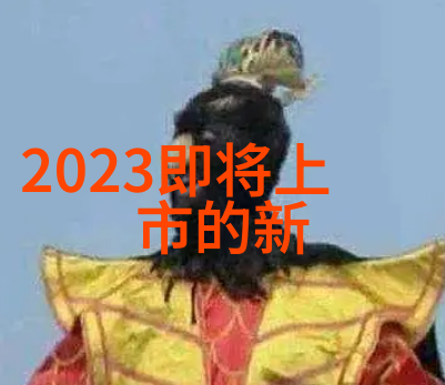 四川托普信息技术职业学院青春与代码的交响曲