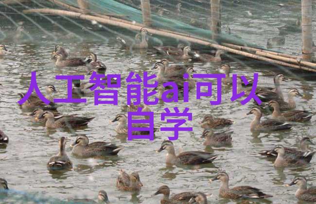 牙科高压蒸汽灭菌锅操作指南确保医疗器械的彻底消毒