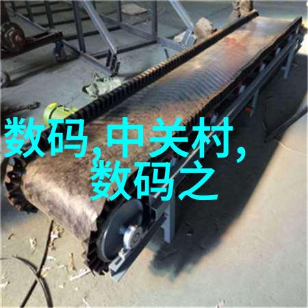 皇家宠臣的秘密情缘