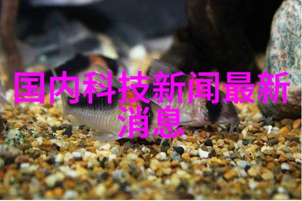 日本动漫高清观看免费观看日本最新动漫