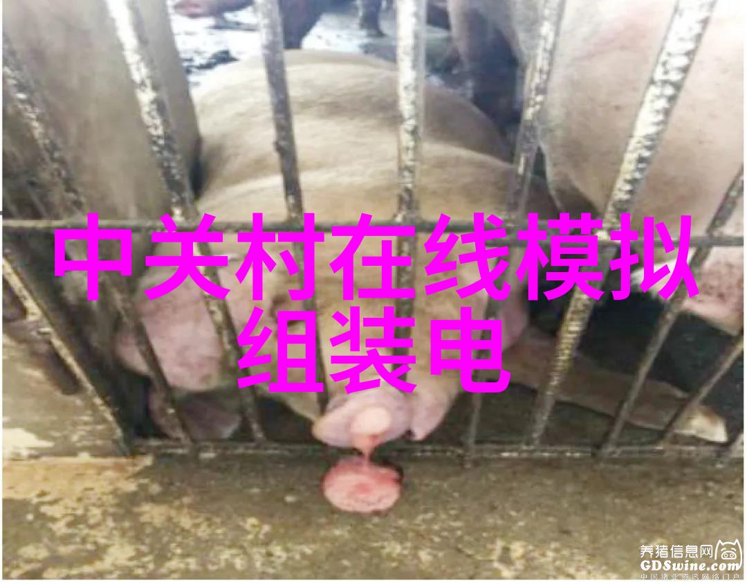主题我要跟你聊聊智慧成长的引擎XX智能化公司简介