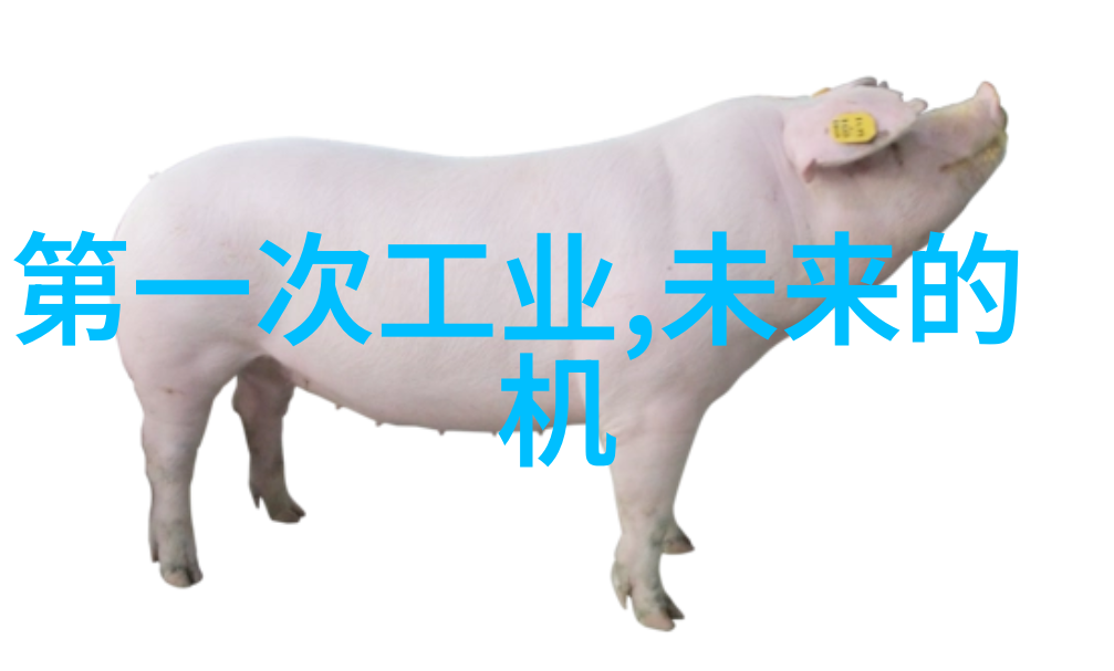 PE管材生产厂家质量保证服务至上