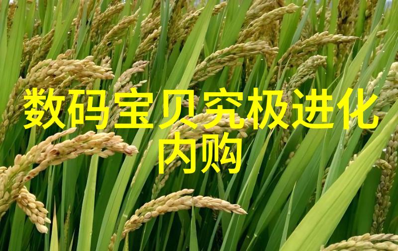 灰色之光粉煤灰分选机的奇迹