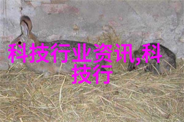 广东佛山不锈钢厂家的技术创新路径是怎样的