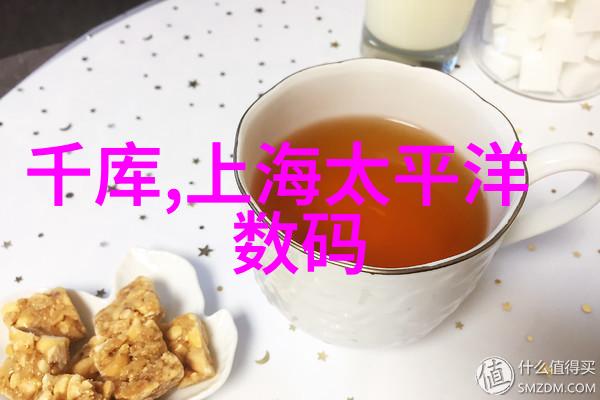 公交车尾排的C族群乘坐者与观察者的故事