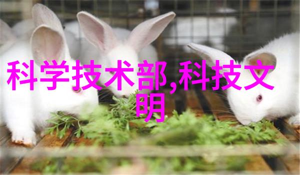油水分离技术的卓越之选UHR150油水分离器的应用与优势