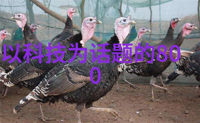农村饮水安全的新希望小型净水设备的兴起