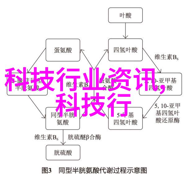水分分析仪精确测量的科学伙伴