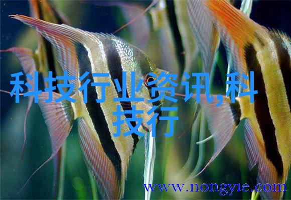 蒸汽之源自动化的奇迹工厂