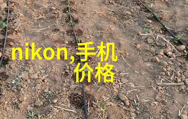 消毒设备守护清洁健康的先锋
