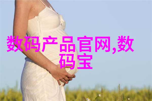 水管革命揭秘新一代节能系统的真相