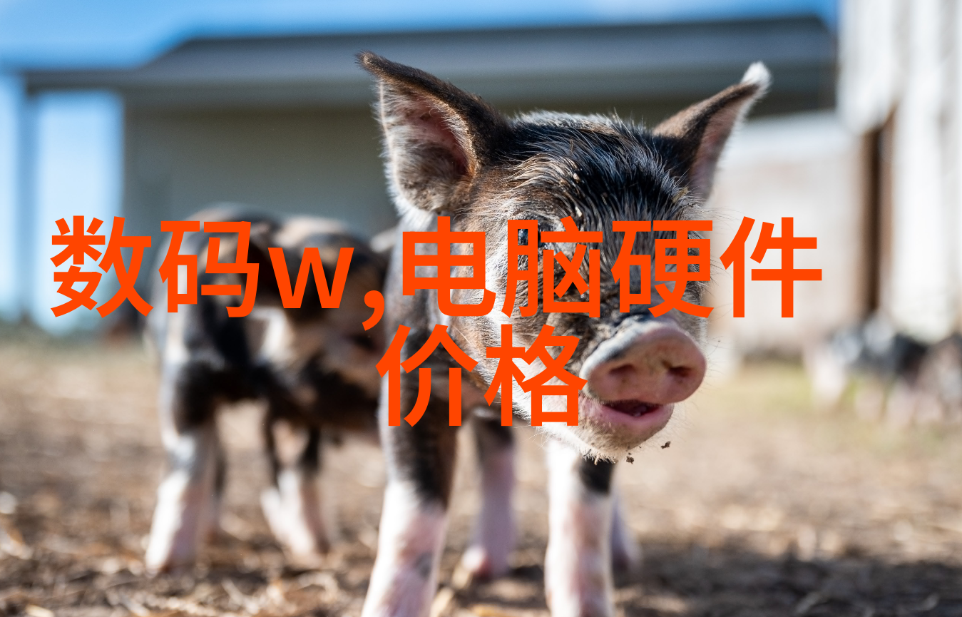 华为芯片概念股科技巨头的内心秘密花园