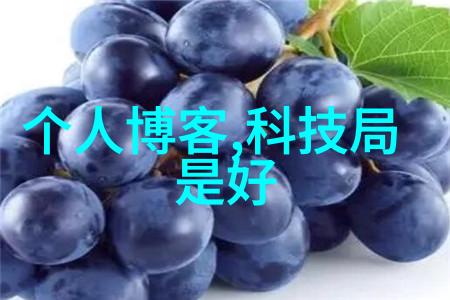 免费欧洲最强RAPPER潮水喷我是如何在街头发现下一位欧洲RAP巨星的