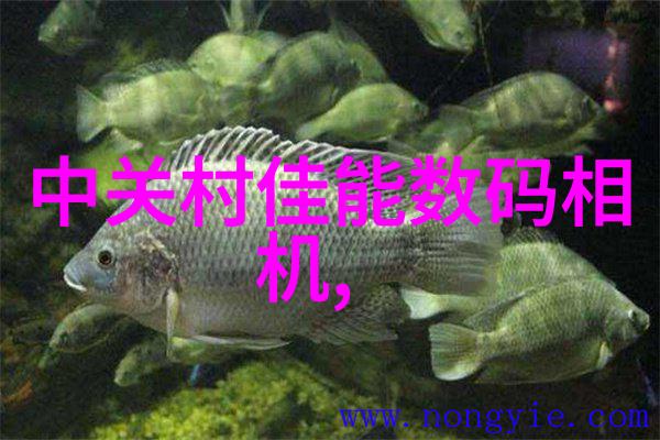 智慧出行智能交通系统的未来趋势