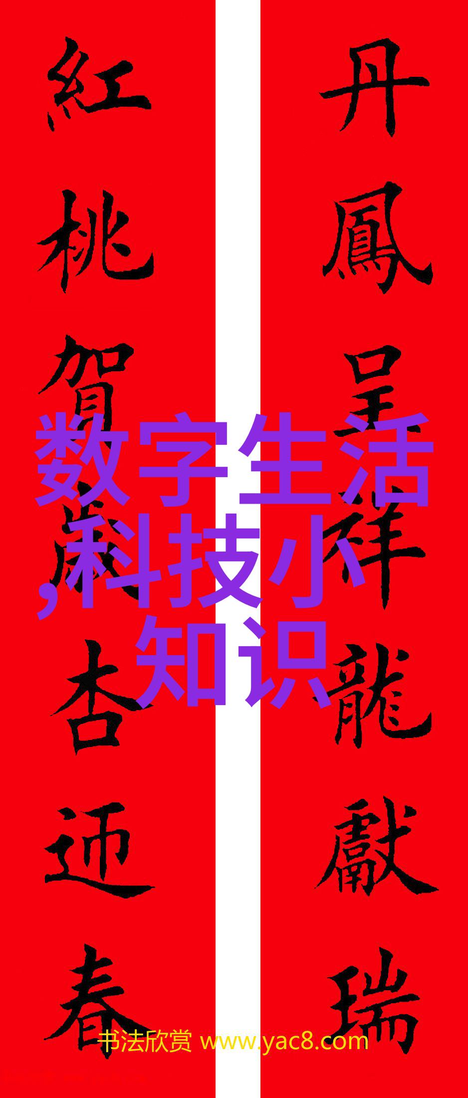 专利之巅中国技术开发公司官网的双重面纱