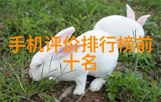 探秘绿洲透过AGR管材的眼睛看世界