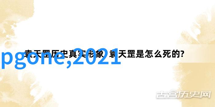 vivo用户在遇到找回我的设备功能不工作时该如何选择合适的强制刷机会更安全地恢复系统
