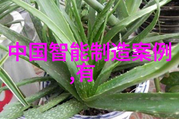 三十分钟快速整理家中杂物让你桶个够