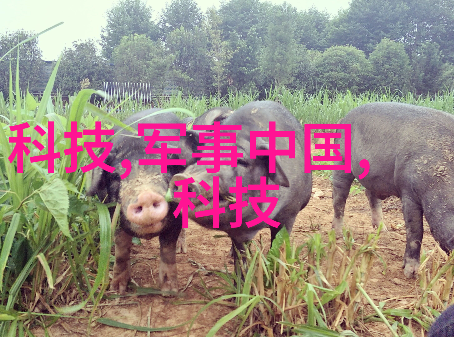水资源管理维护河流和湖泊的自然生态平衡确保其质量处于正常水平