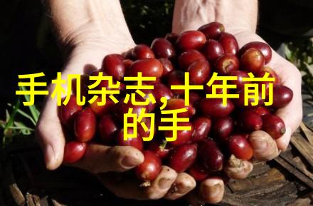 电热蒸汽发生器原理与应用概述高效转换的未来技术