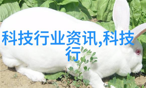 多功能流化床工作原理-颗粒物料的连续混合与干燥技术