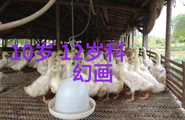 宝马汽车水泵问题宝马车湿三根手指的公交车维修难题