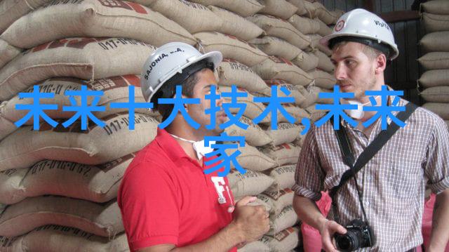 军用软件测试与评估技术要求与实践应用
