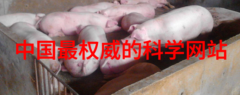 检测水质的个人能力是梦还是现实