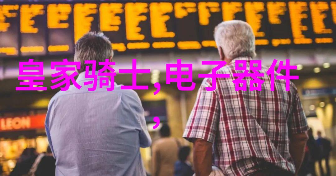 除尘骨架我如何把杂乱的生活变成井然有序的艺术品