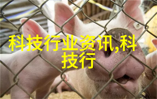塑料管道的新篇章双壁波纹管的奇迹