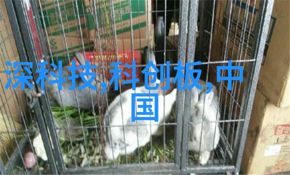 废机油从资源回收到环境保护的新篇章