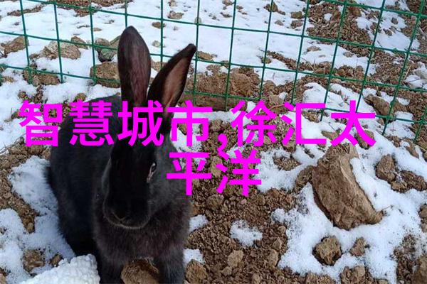 嫦娥乳液狂飙我的月亮护肤之旅