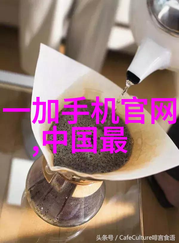 山东外国语职业技术大学语言桥梁未来探索