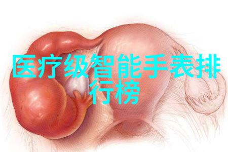 输送带-高速物料输送系统的高效运作策略