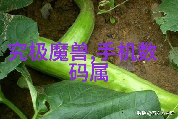 无忧传媒开启虚拟大门探索免费进入网站的新篇章