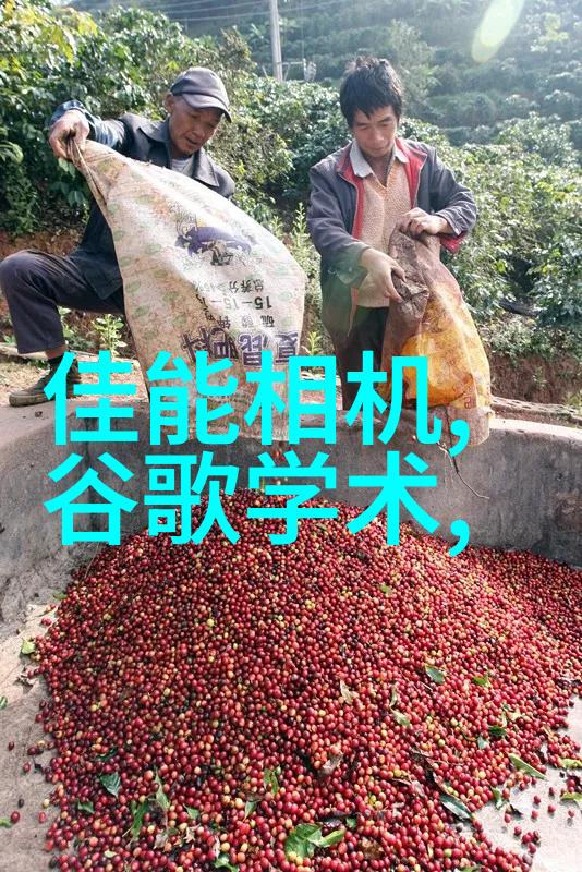 庭院装修设计我家的绿意盎然小天地从简到精的翻身之旅