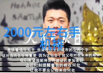 滚筒干燥设备-高效旋转滚筒干燥设备在食品工业中的应用与优势