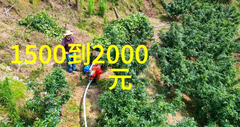 如果我需要高速热风循环可以选择什么类型的烤箱来代替吗