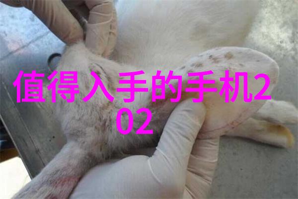 高温瞬时灭菌设备我家的超级神器一秒钟让病菌不留