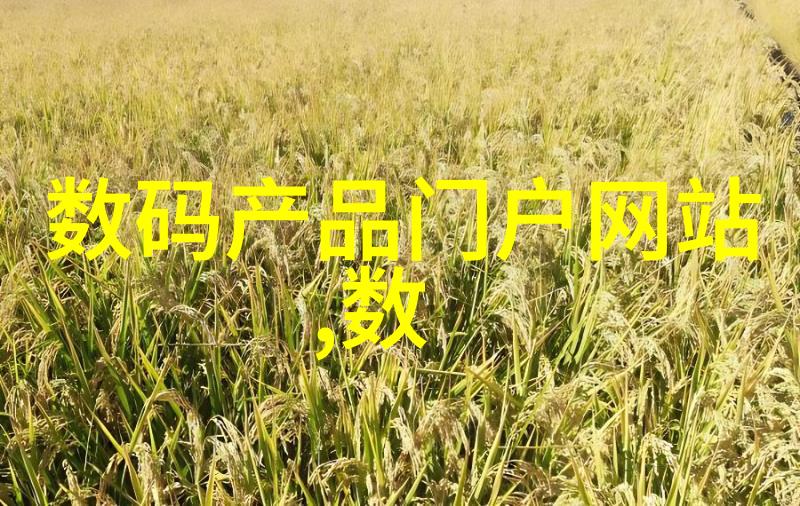 大客厅逆袭从简约到奢华的反差装修之旅