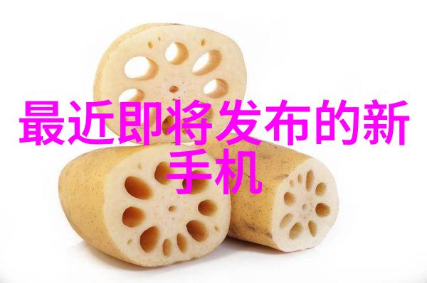 不锈钢矩鞍环之谜填料标准背后的秘密
