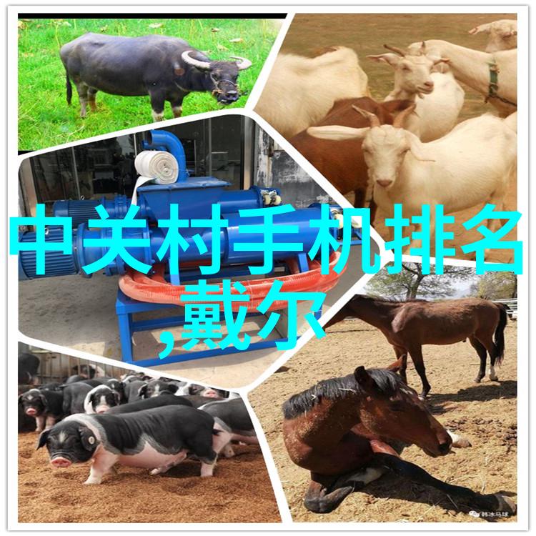 丝网波纹填料装填方式研究及其在复合材料制造中的应用探究