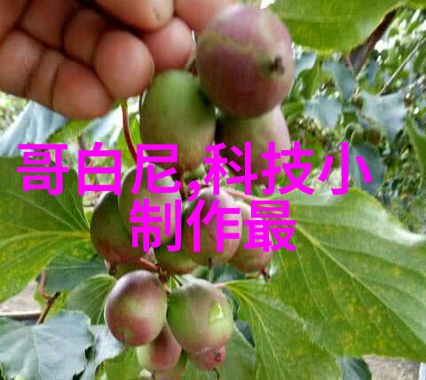 bx500型丝网波纹填料的主要应用场景有哪些