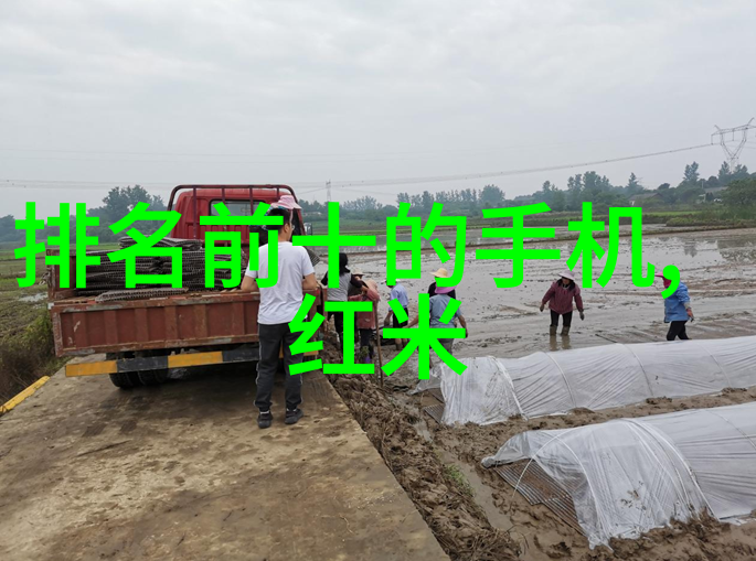 特种设备的范畴与灭菌锅的归属探究