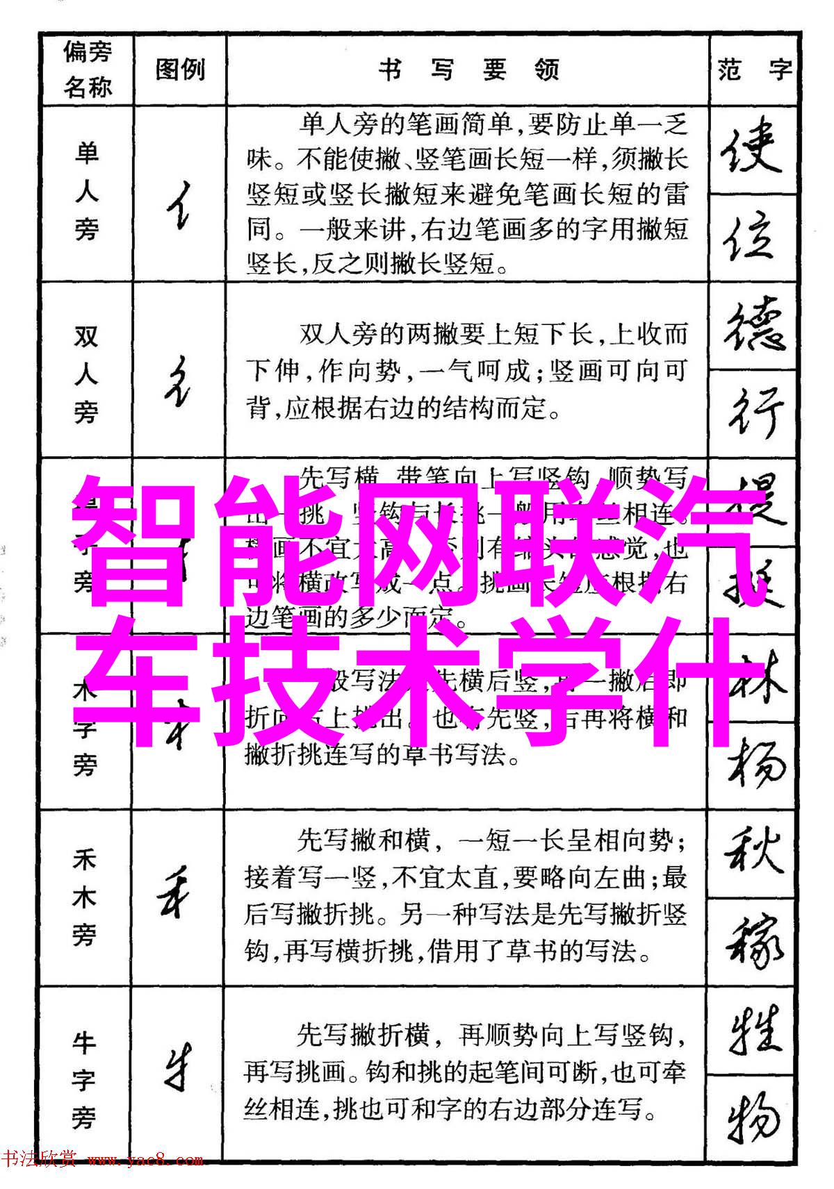 班长是我们班的存精器作文我眼中的班长存精器在行动