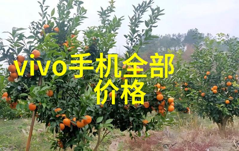 PE排水管材厂家高质量材料完美解决下水道问题