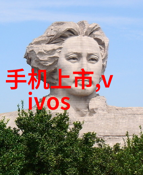 金属孔板波纹填料参数金属孔板的波纹结构与填充性能分析