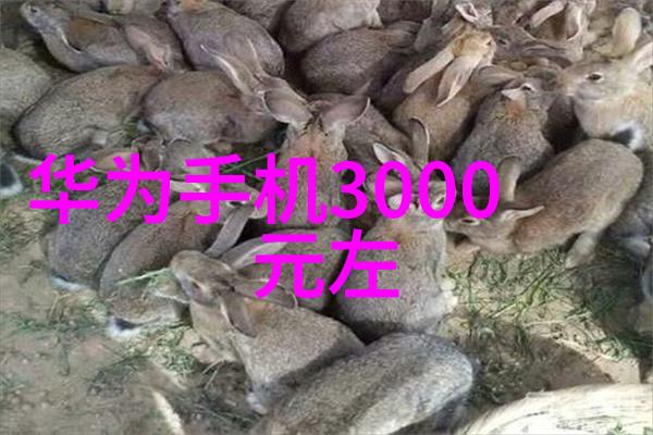 化工设备拆除工程方案编制指南确保安全高效的设备迁移与重用