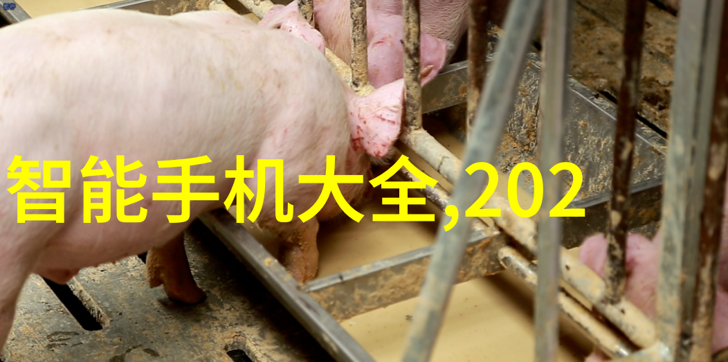 寂灭天骄穿越者与古神的终极对决