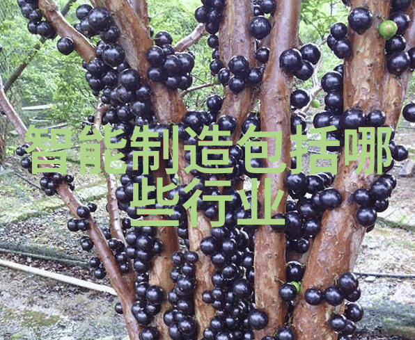 不锈钢陶瓷填料新一代高效节能材料的兴起